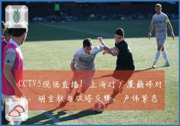 CCTV5现场直播！上海对广厦巅峰对抗，胡金秋与双塔交锋，卢伟紧急调整阵容